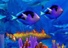 Amazing Underwater Escape Games2Rule