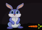 ENA Games Cute bunny