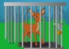 Deer Cub Cage