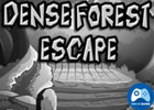 Dense Forest Escape
