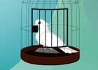 Cage Dove