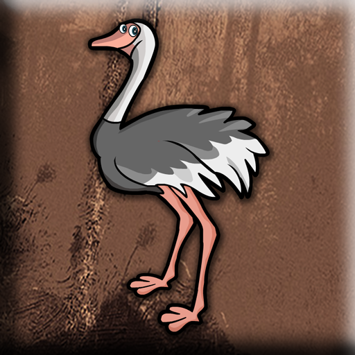 Emu-Escape-From-Cage