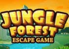 Jungle forest escape game