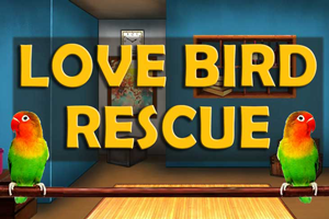 love-bird-rescue