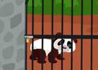 TheEscapeGames Panda Cub Escape