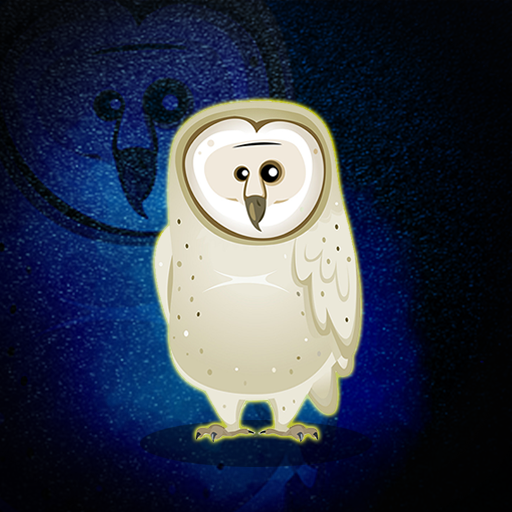 The-White-Owl-Rescue