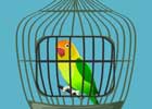 Yellow Parrot Cage Escape