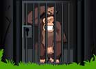 Ape Cage Escape