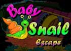 Baby Snail Escape