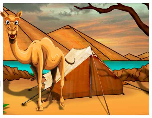 find the golden camel in desert 