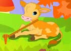 Ajaz Games Baby Calf Escape