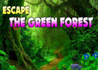 Escape The Green Forest