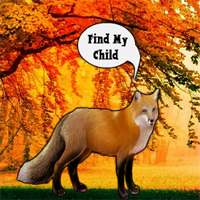 find-the-fox-child