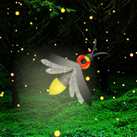 fireflies-night-forest-escape