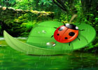 Games2rule Ladybug Rain forest Escape