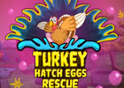 Games4Escape Turkey Hatch Eggs Rescue
