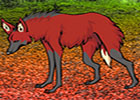 Wow Maned Wolf Escape