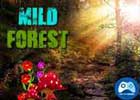 Mirchi Escape Mild Forest Walkthrough