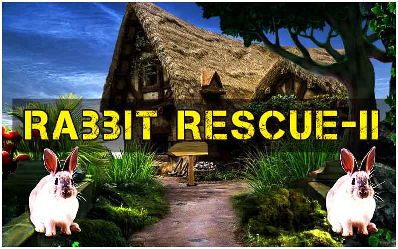 rabbit-rescue---ii