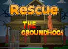Rescue The Groundhogs