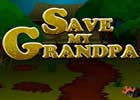 Save grandpa game