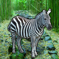 save-the-zebra