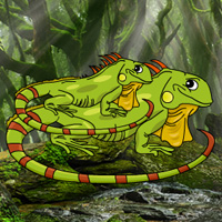 Iguana Forest Escape 